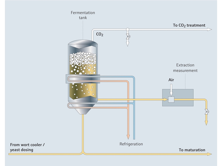 Procesoverzicht van fermentatie bij het brouwen van bier