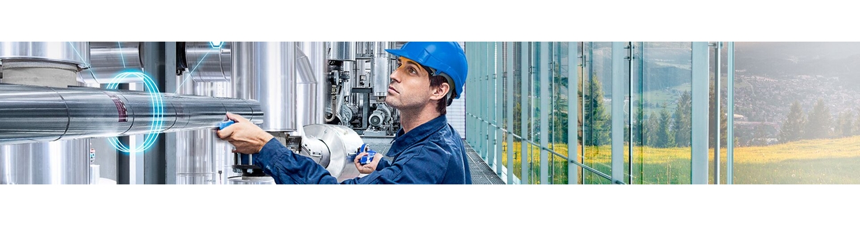 Endress+Hauser SICK GmbH+Co. KG Produktionskompetenz