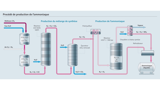 Schéma de la production de l'ammoniac