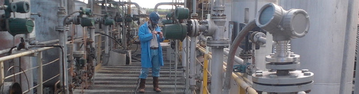 Levelflex geleide radar