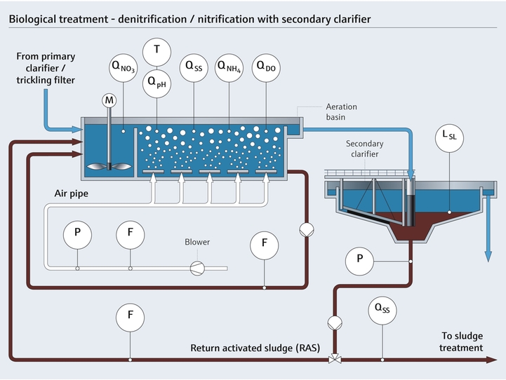 Biological wastewater treatment