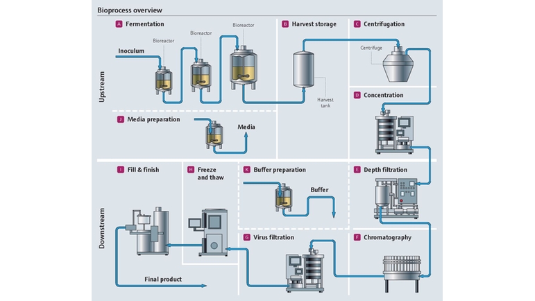 Bioprocess in the pharmaceutical industry