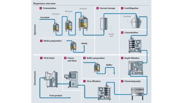 Bioprocédé dans l'industrie pharmaceutique