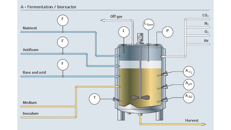 Fermentationsprozess in einem Bioreaktor mit allen relevanten Messstellen