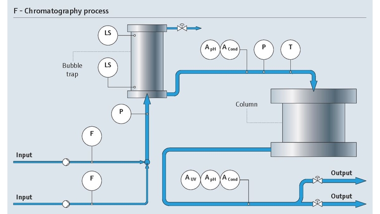 Het downstream chromatografisch proces met zijn relevante meetpunten