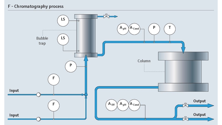 Process de chromatographie (downstream ) avec les points de mesure concernés