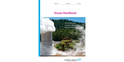 Dampf-Handbuch – Eine Einführung in die Dampferzeugung und Dampfverteilung