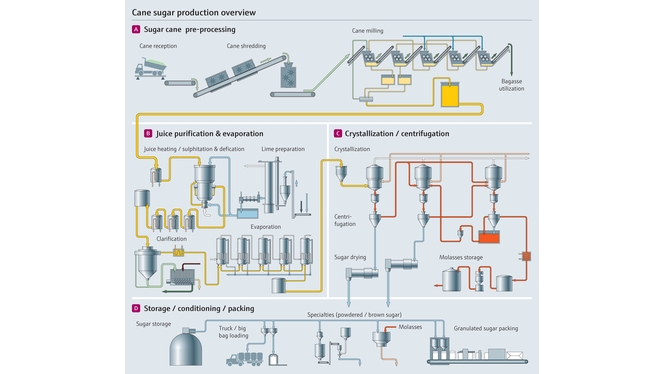Process de fabrication du sucre de canne