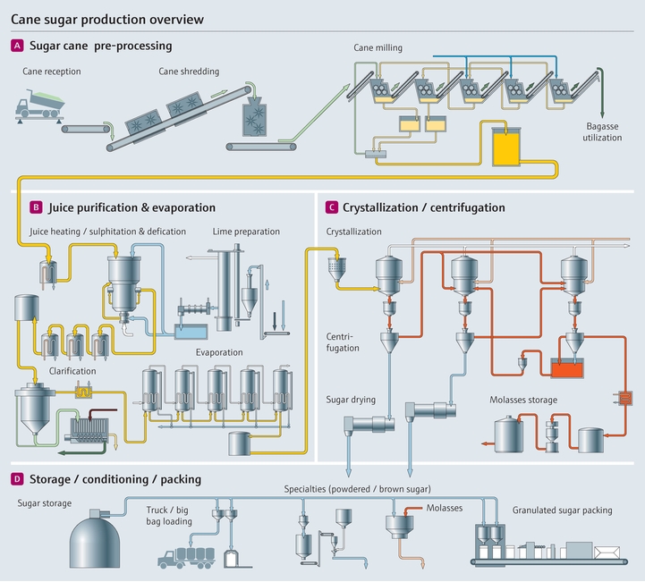 Process de fabrication du sucre de canne