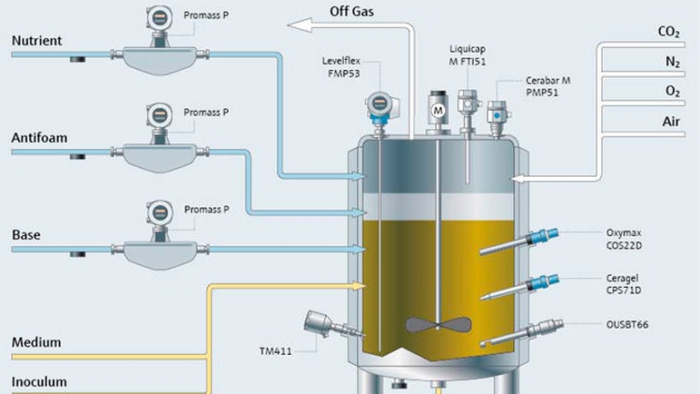 process de fermentation