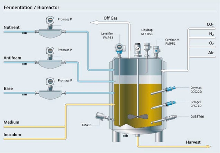 Fermentationsprozess