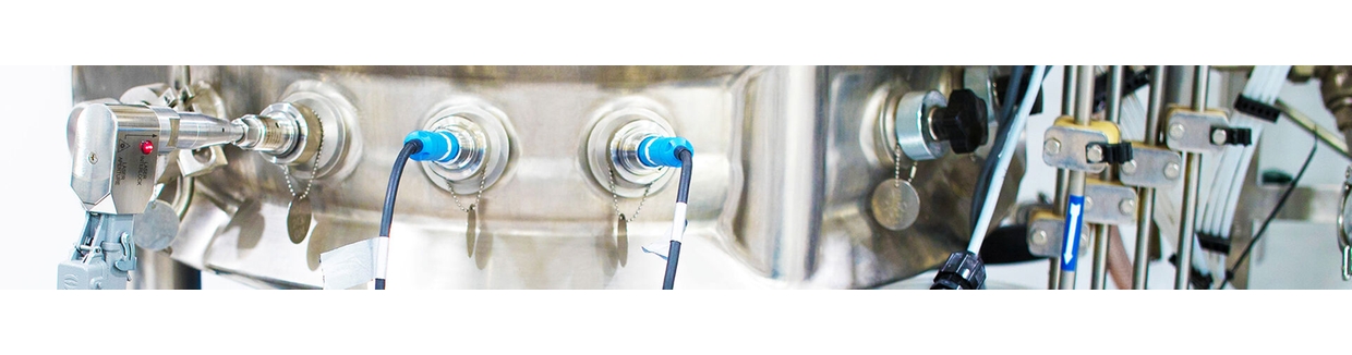 Raman probe in situ in a stainless steel bioreactor