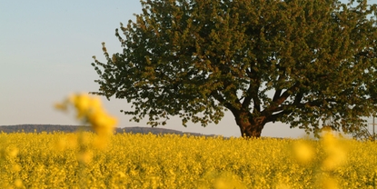 Voor ons gaat economische groei hand in hand met ecologisch en sociaal denken.