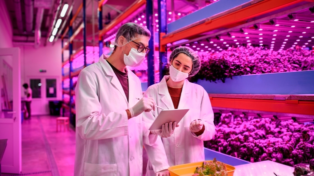 Mesure du pH dans une ferme verticale pour garantir une qualité alimentaire maximale