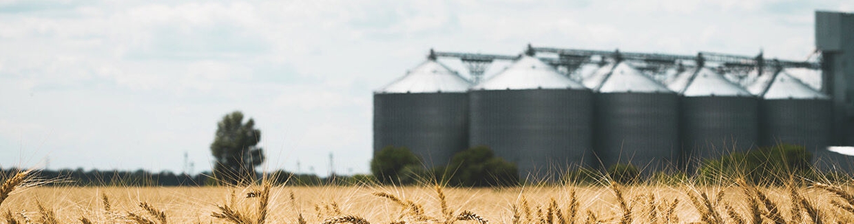 Une installation agroalimentaire pour le stockage des aliments dans des cuves de stockage et silos en vrac