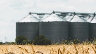 Une installation à silos multiples typique pour le stockage des aliments, par exemple les céréales