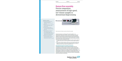 Image de la brochure sur l'assemblage de flux Raman pour le biotraitement en aval